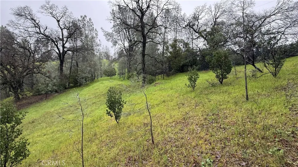 16370 Oakridge Road Corning, CA 96021