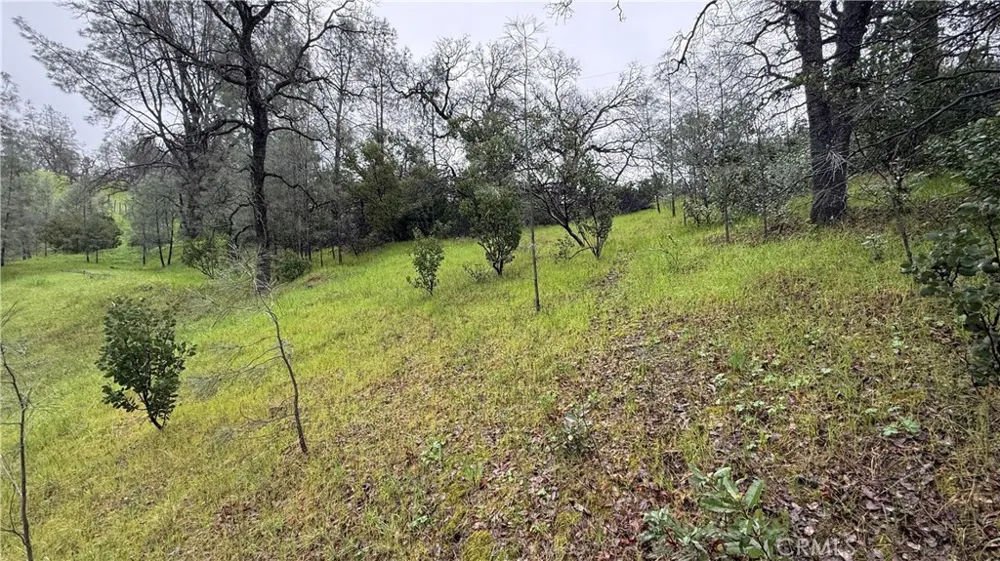 16370 Oakridge Road Corning, CA 96021