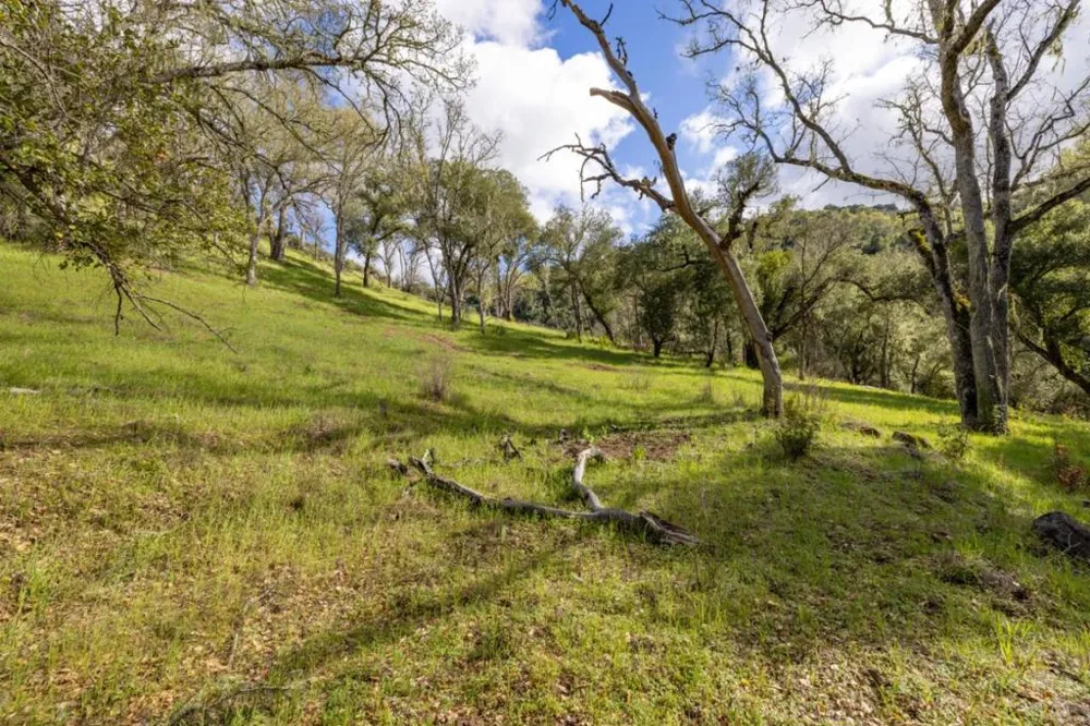 Cachagua Road Carmel Valley, CA 93924