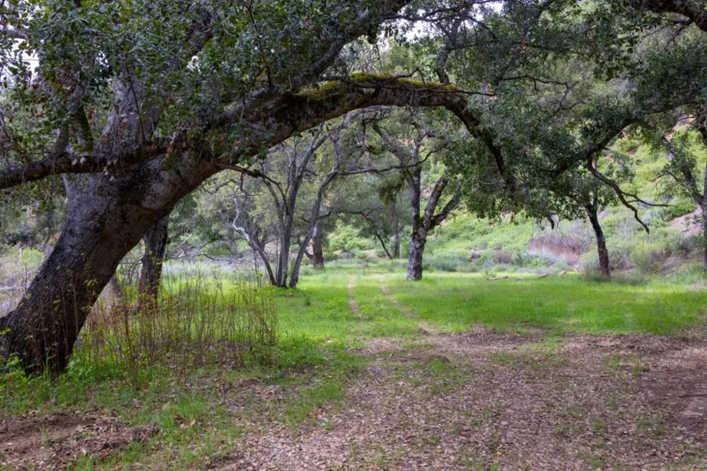 Cachagua Road Carmel Valley, CA 93924