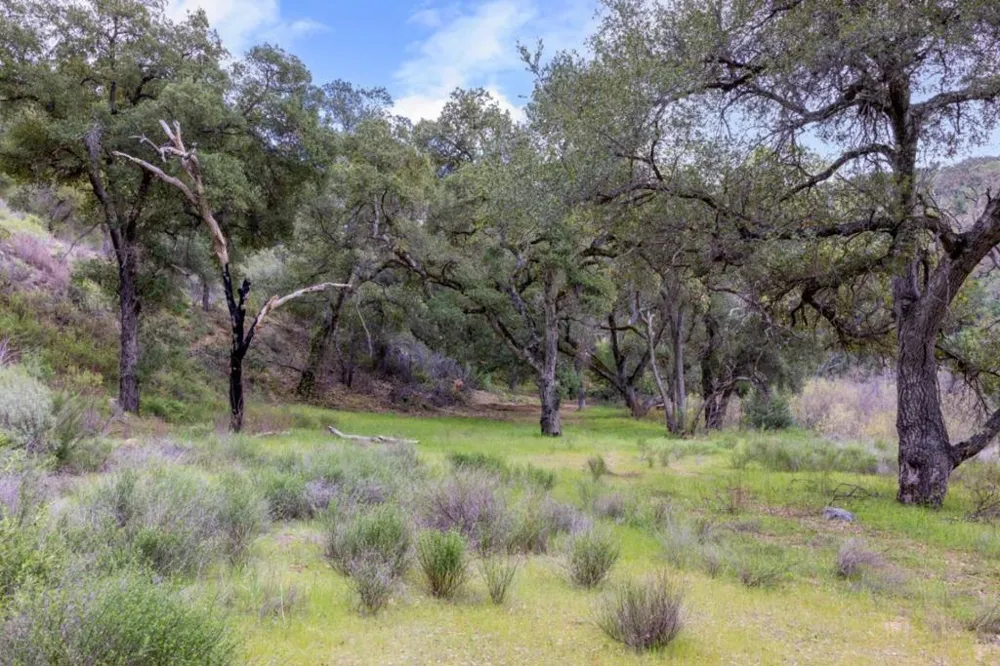 Cachagua Road Carmel Valley, CA 93924