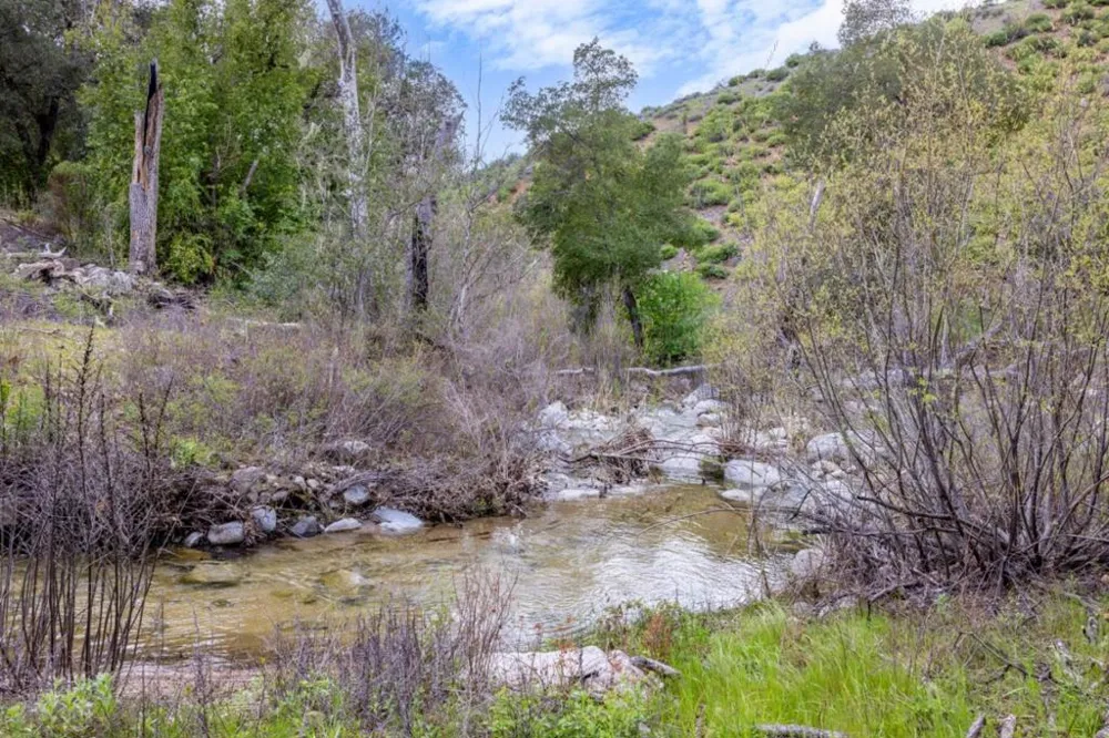 Cachagua Road Carmel Valley, CA 93924