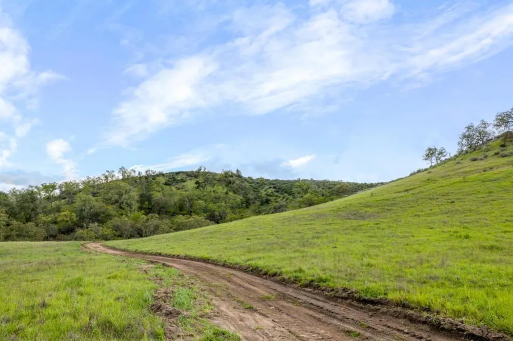 Cachagua Road Carmel Valley, CA 93924
