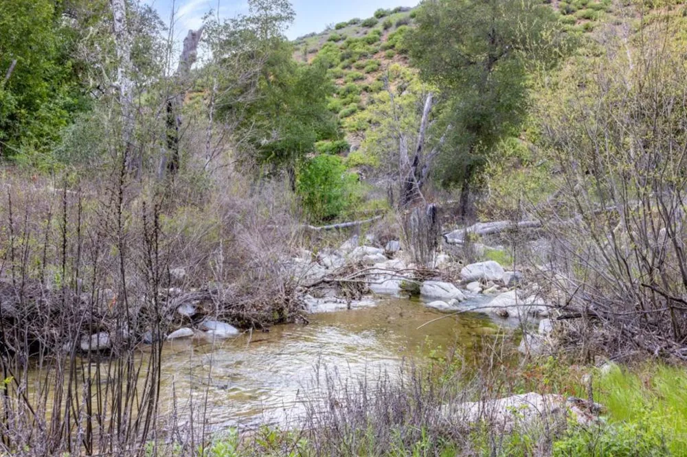 Cachagua Road Carmel Valley, CA 93924