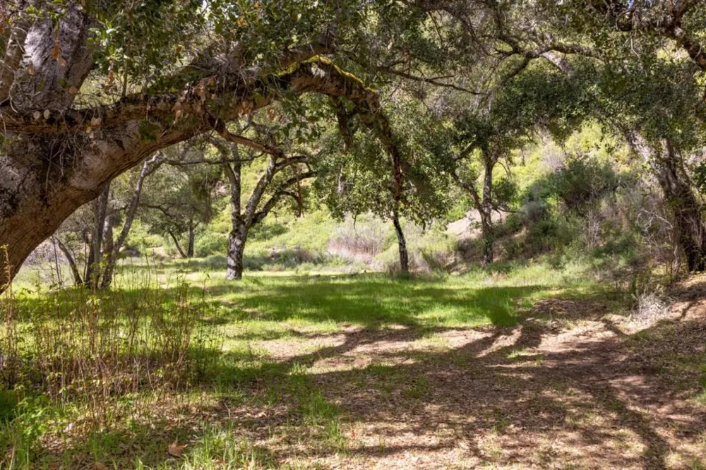 Cachagua Road Carmel Valley, CA 93924