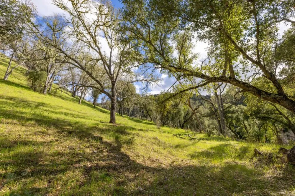 Cachagua Road Carmel Valley, CA 93924