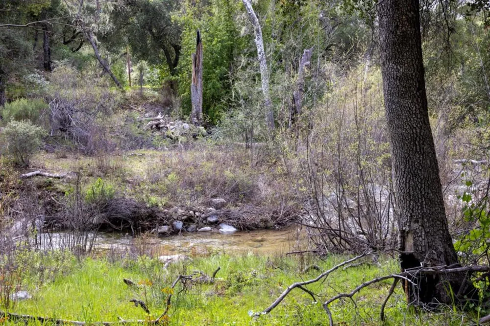 Cachagua Road Carmel Valley, CA 93924