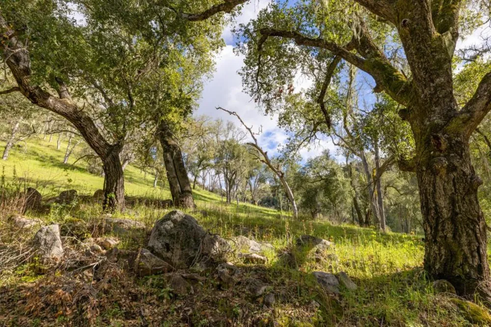 Cachagua Road Carmel Valley, CA 93924