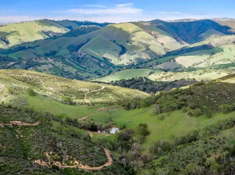 Cachagua Road