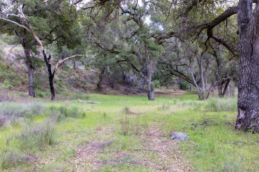 Cachagua Road Carmel Valley, CA 93924