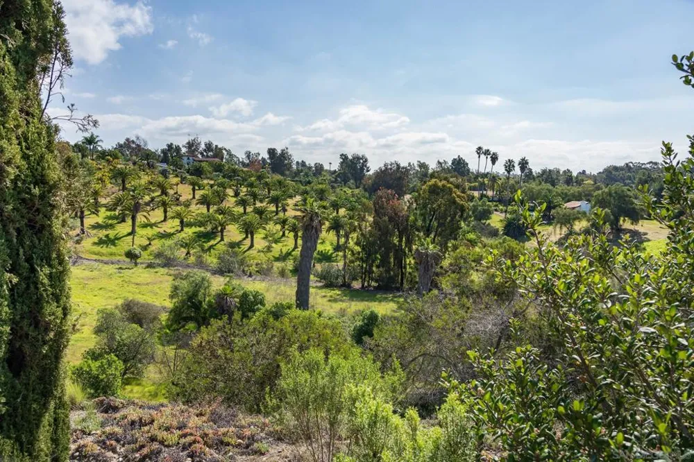 18024 Avenida Alondra Rancho Santa Fe, CA 92067