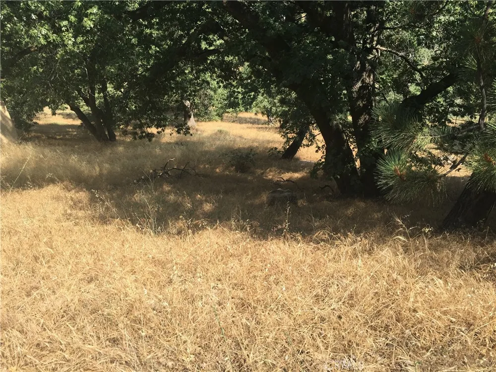 30481 Live Oak Running Springs, CA 92382