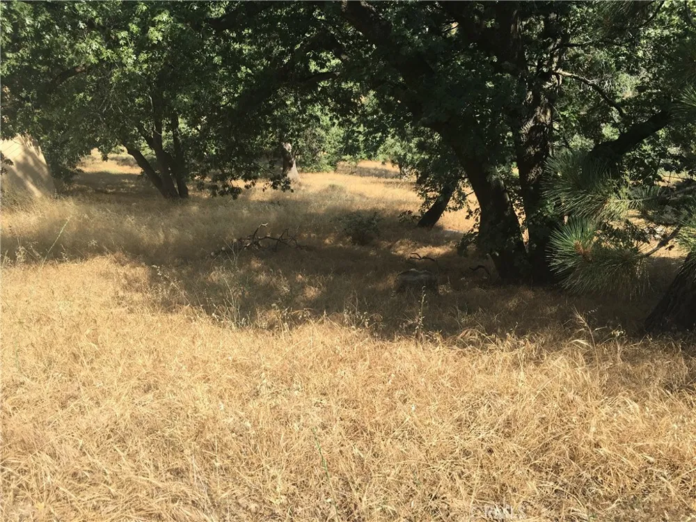 30481 Live Oak Running Springs, CA 92382
