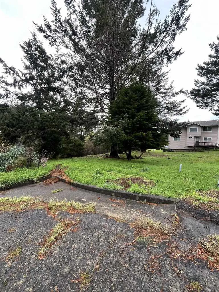 22 Spruce Ct Whitethorn, CA 95589