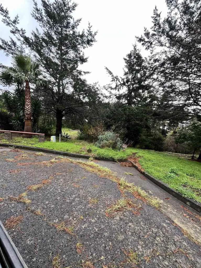 22 Spruce Ct Whitethorn, CA 95589