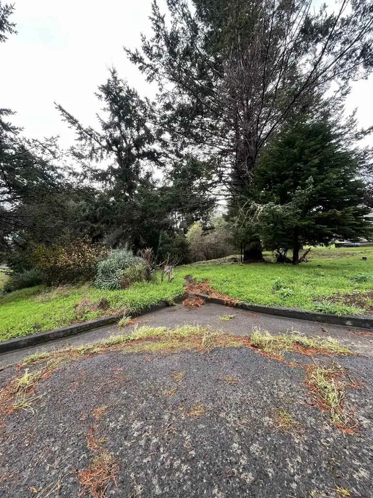 22 Spruce Ct Whitethorn, CA 95589