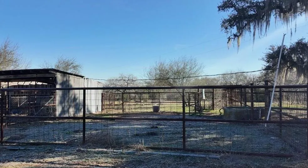 3382 E Fm 1961 Goliad, TX 77963
