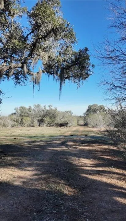 3382 E Fm 1961 Goliad, TX 77963