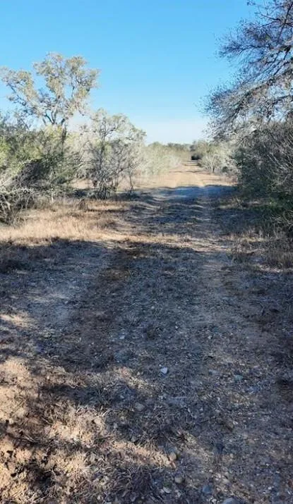 3382 E Fm 1961 Goliad, TX 77963