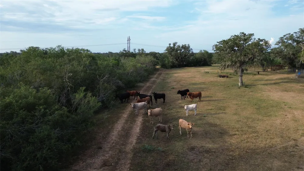 3382 E Fm 1961 Goliad, TX 77963