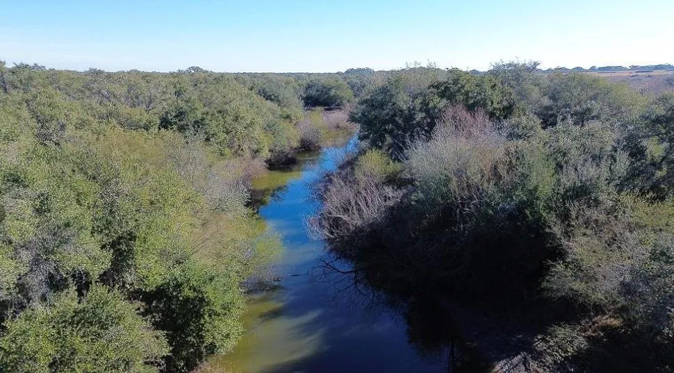 3382 E Fm 1961 Goliad, TX 77963