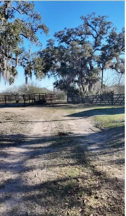 3382 E Fm 1961 Goliad, TX 77963