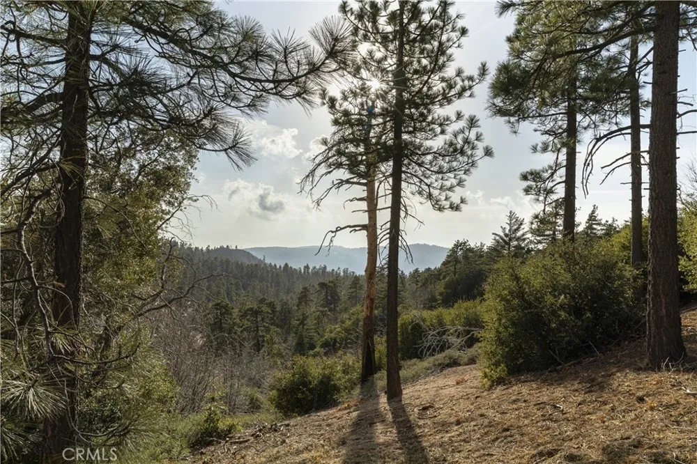 32945 Juniper Lane Green Valley Lake, CA 92341
