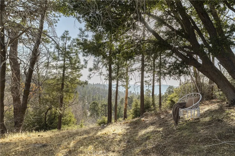 32945 Juniper Lane Green Valley Lake, CA 92341