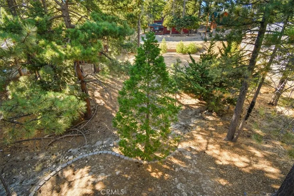 598 Dahlia Drive Green Valley Lake, CA 92341