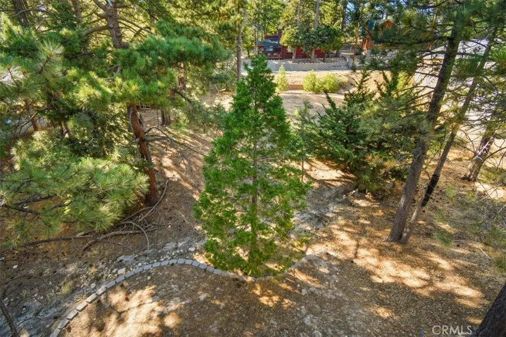 598 Dahlia Drive Green Valley Lake, CA 92341