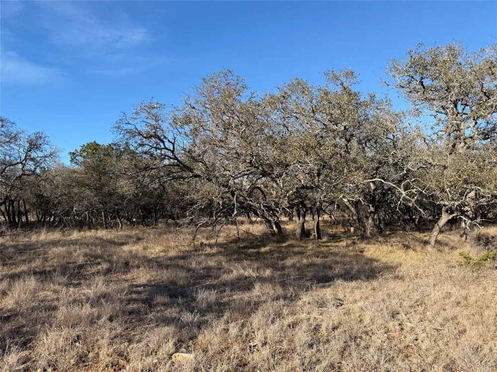 67 464 Ranch Johnson City, TX 78636