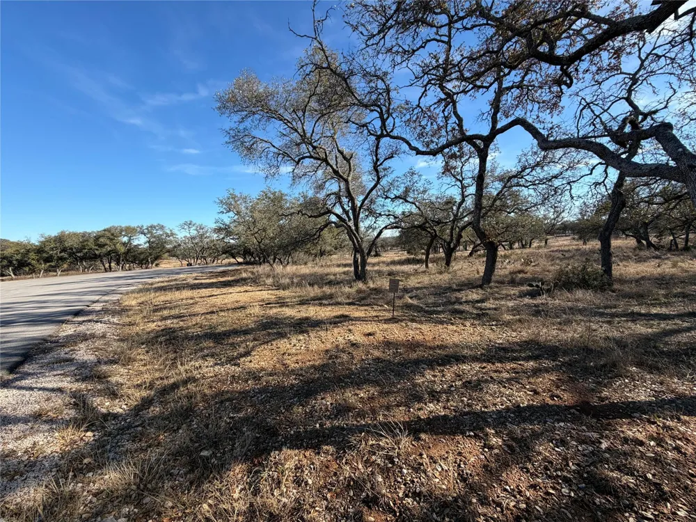 65 Bobcat Ct Johnson City, TX 78636