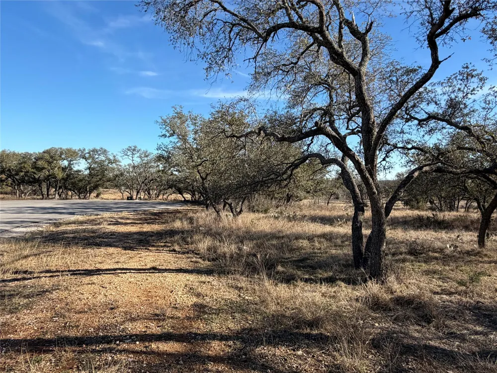 65 Bobcat Ct Johnson City, TX 78636