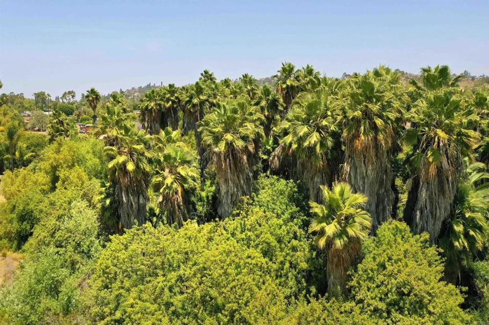 Hillsdale El Cajon, CA 92019