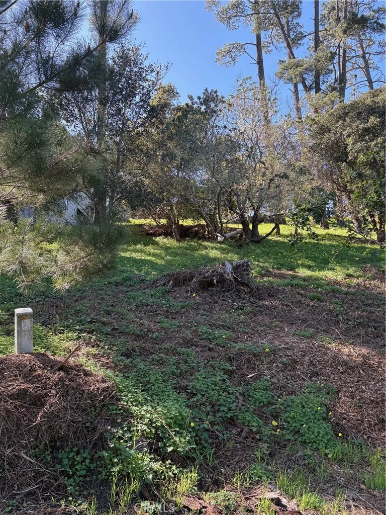 Spencer Cambria, CA 93428