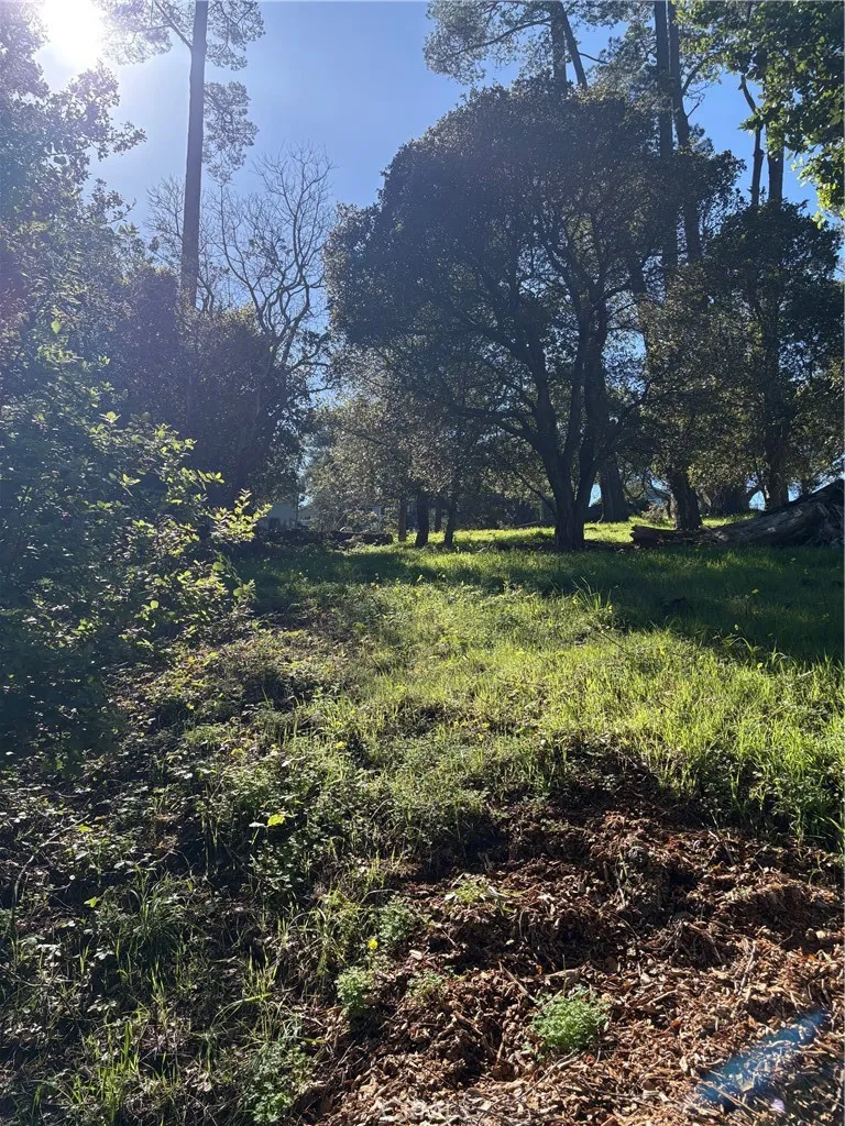 Spencer Cambria, CA 93428