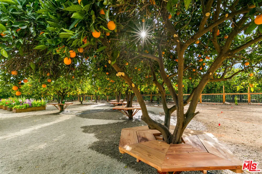 828 Fordyce Rd & 2561 Grand Avenue Ojai, CA 93023