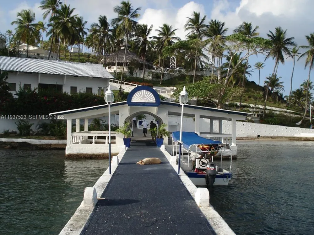 Colon 3306