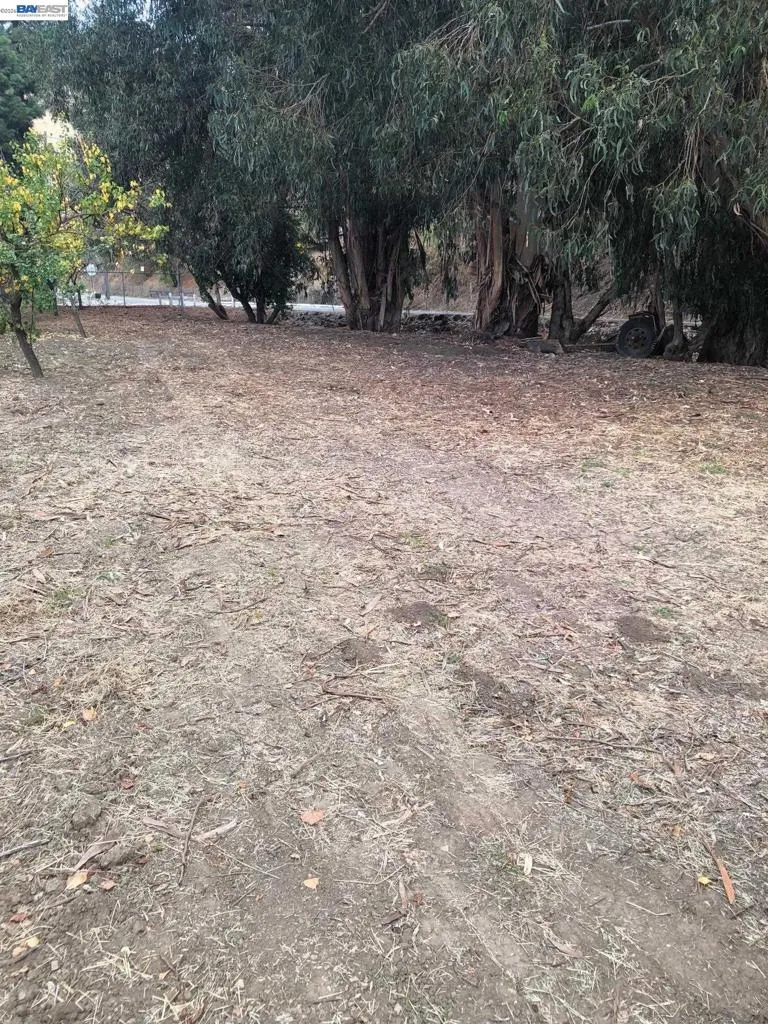 Morrison Canyon Rd Fremont, CA 94536