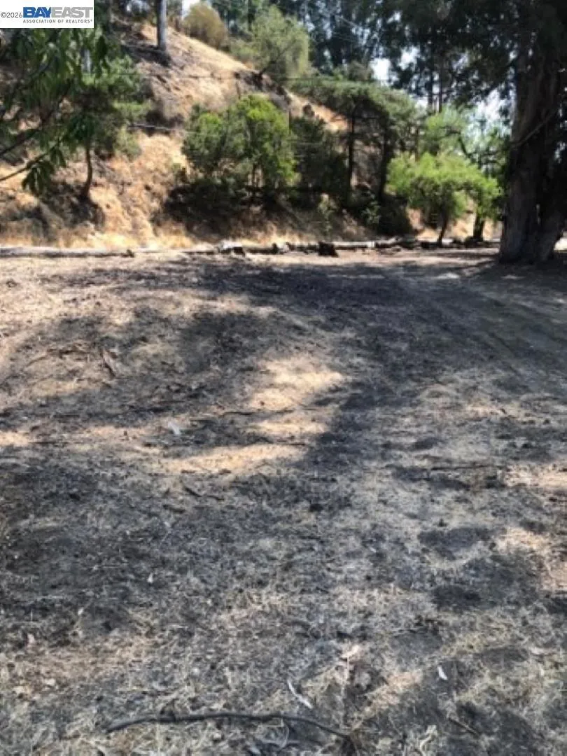 Morrison Canyon Rd Fremont, CA 94536