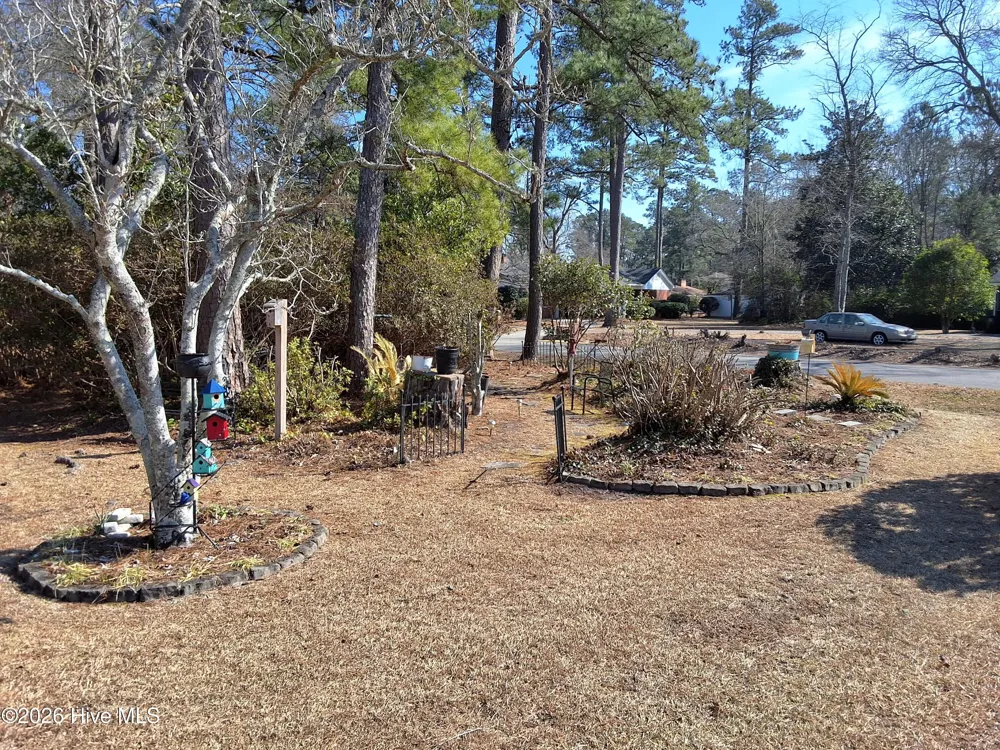 503 Anderson Street Tabor City, NC 28463