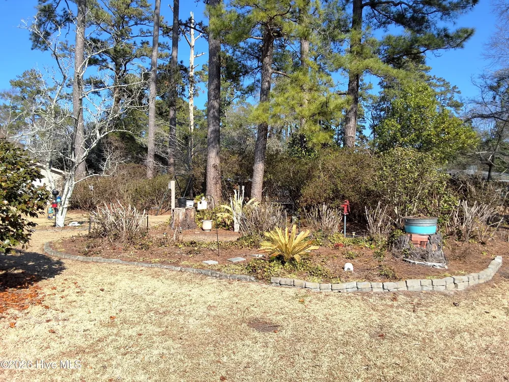 503 Anderson Street Tabor City, NC 28463