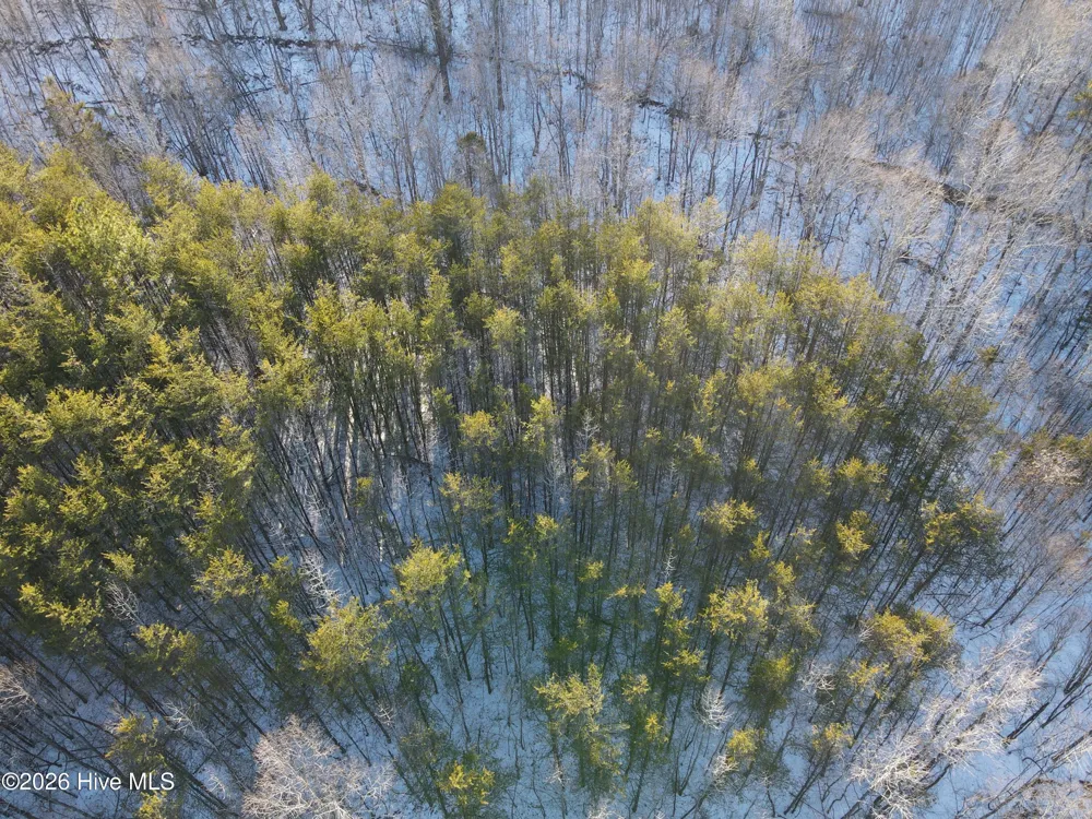 380 Redd Lane Java, VA 24565