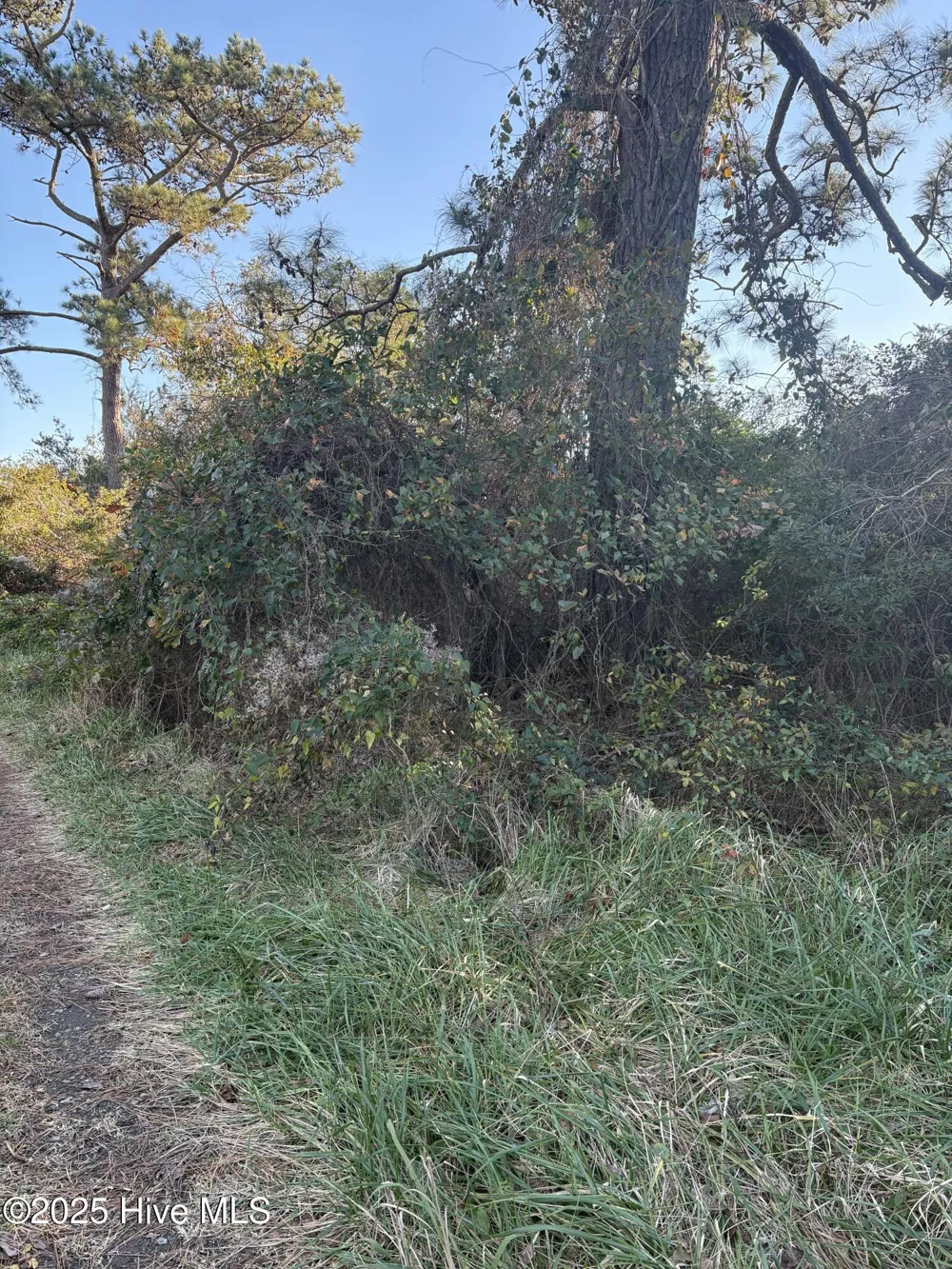 196 Styron Creek Road Sea Level, NC 28577