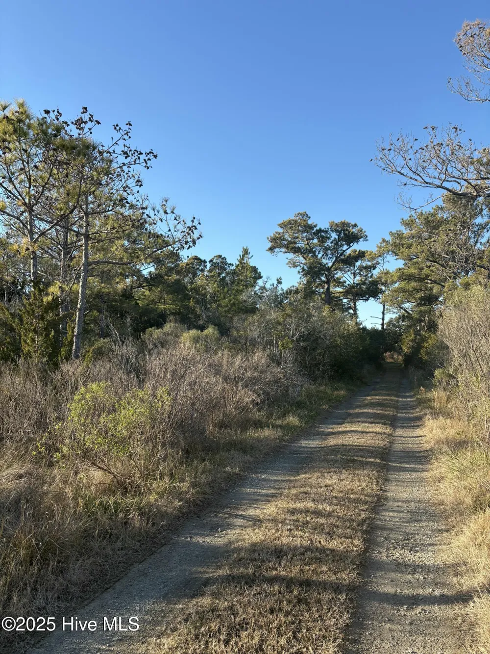 196 Styron Creek Road Sea Level, NC 28577