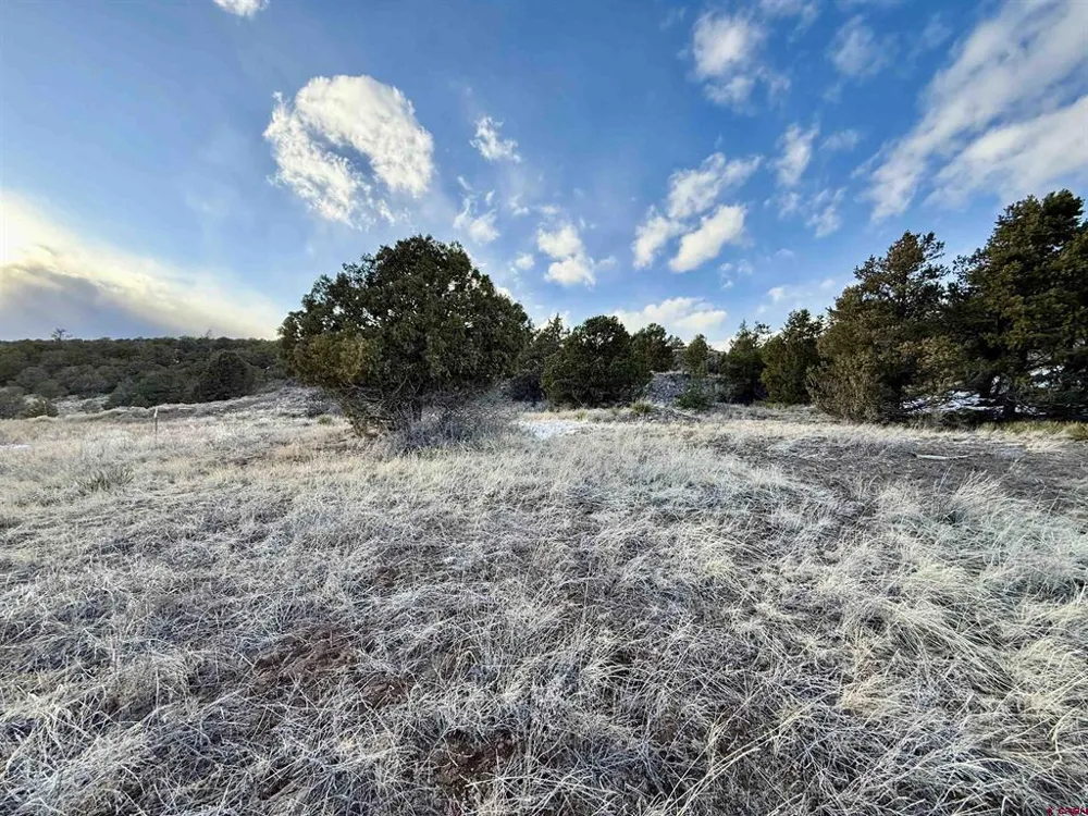 74 Ann Way South Fork, CO 81154