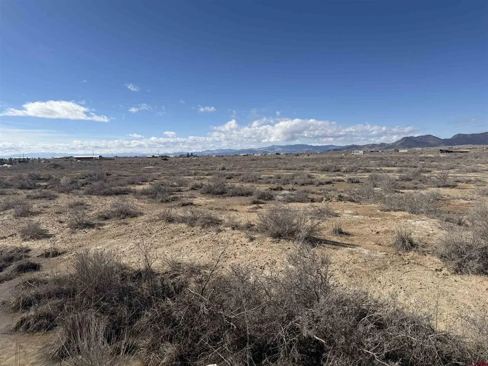 57870 Barbara J Drive Moffat, CO 81143
