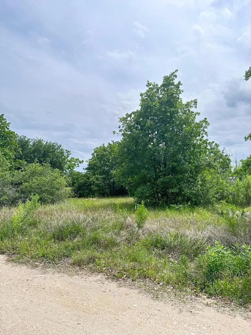 136 Wild Bird Loop Smithville, TX 78957