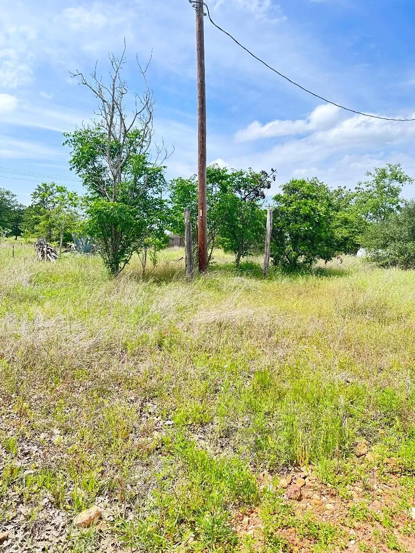 136 Wild Bird Loop Smithville, TX 78957