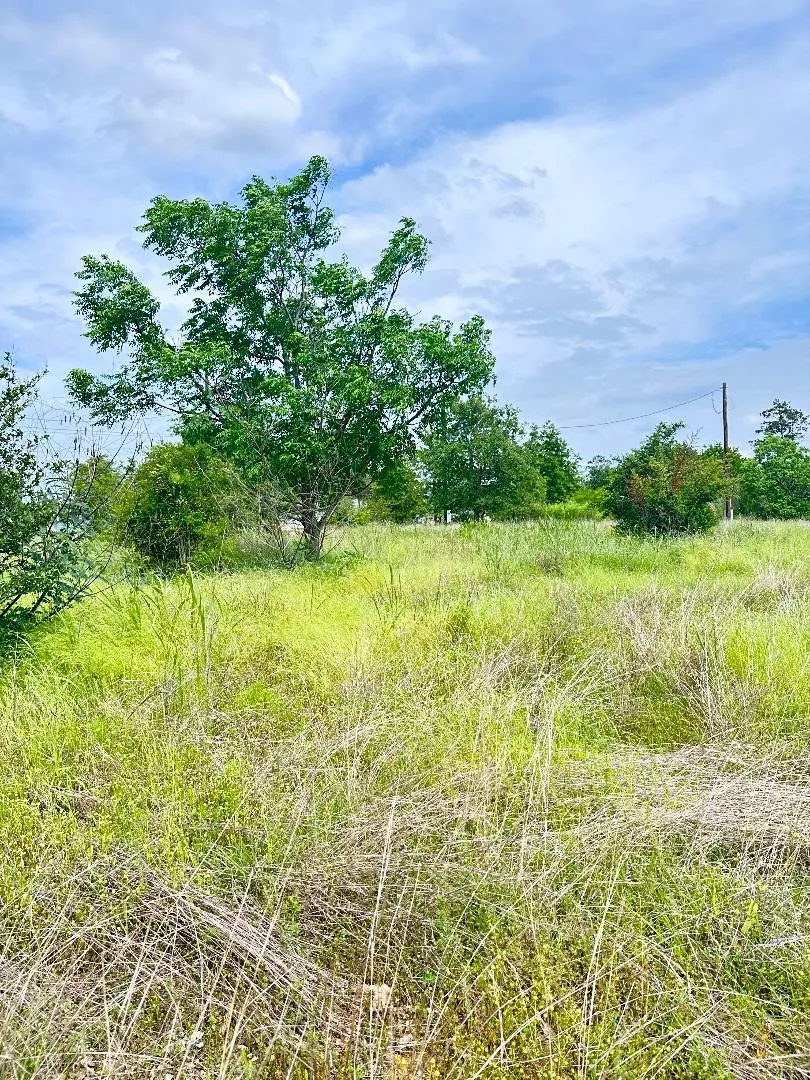 126 Wild Bird Loop Smithville, TX 78957